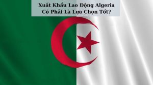 Xuất Khẩu Lao Động Algeria 2024: Có Phải Là Lựa Chọn Tốt!