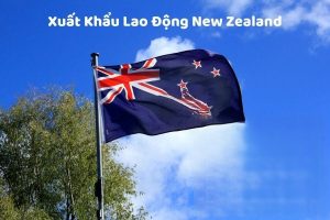 Xuất Khẩu Lao Động New Zealand 2024 – Tất Tần Tật Từ A – Z