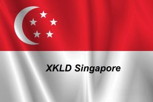Xuất Khẩu Lao Động Singapore 2024 – Bạn PHẢI BIẾT!!